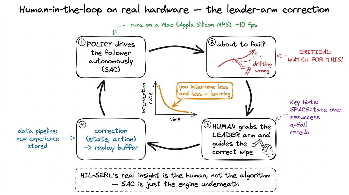 The leader-arm human-in-the-loop cycle