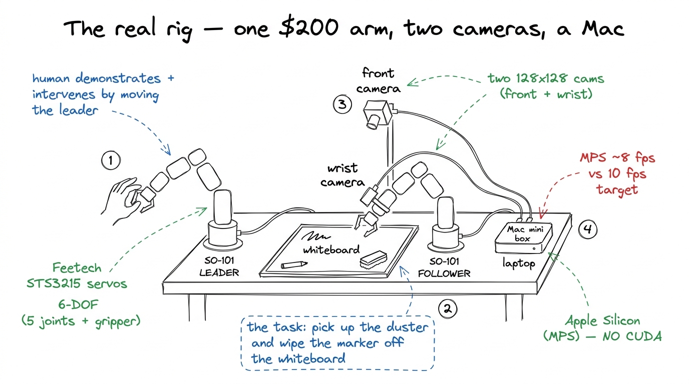 The real SO-101 rig